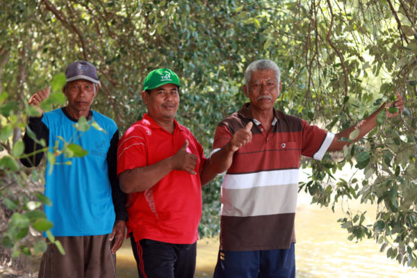 Farmer mangrove