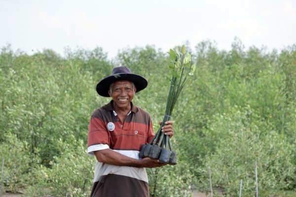 All My Efforts Were Worth It: Planting Mangroves, Protecting Livelihoods in Pati