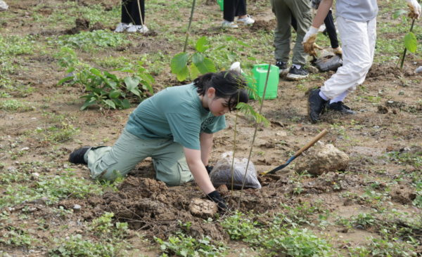 Microsoft’s Green Initiative