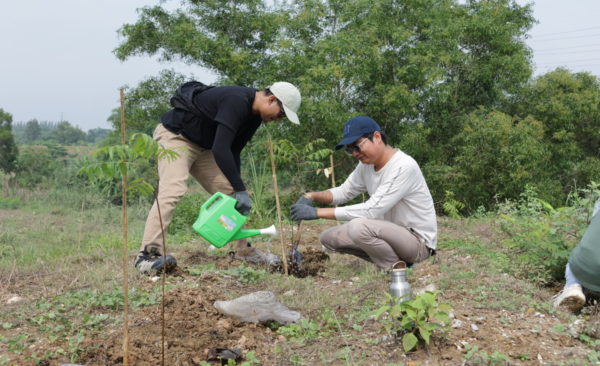 Tree Planting event 