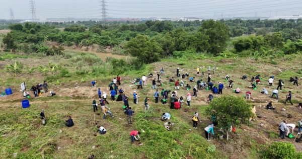 Microsoft’s Green Initiative: Expanding Urban Forests in West Java