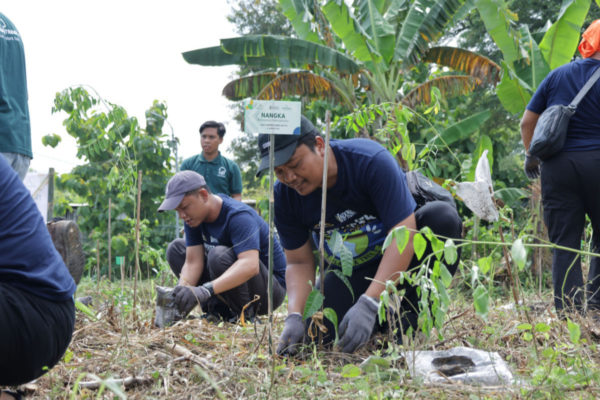 Extending Reforestation