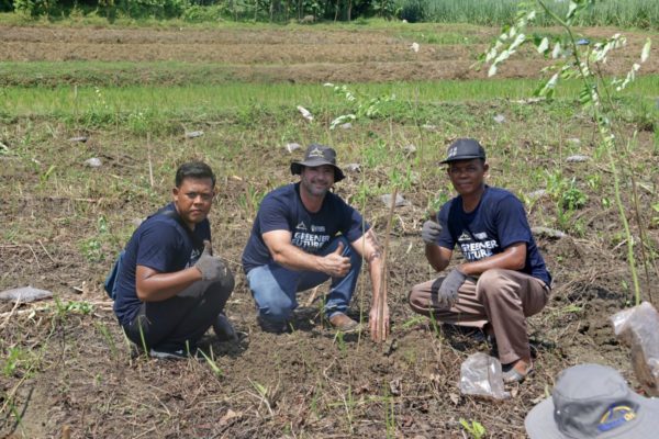 Extending Reforestation