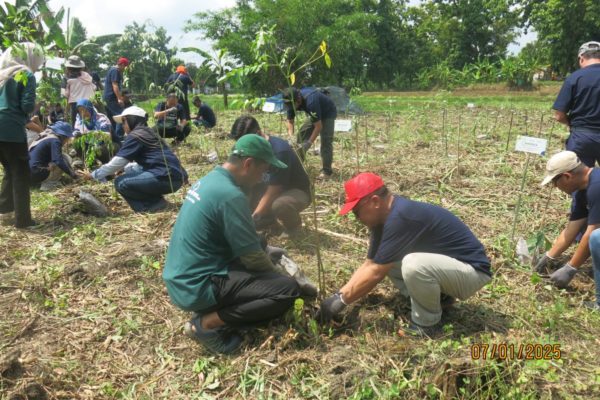 Extending Reforestation