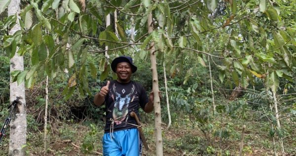 Petani Farmer Trees4Trees