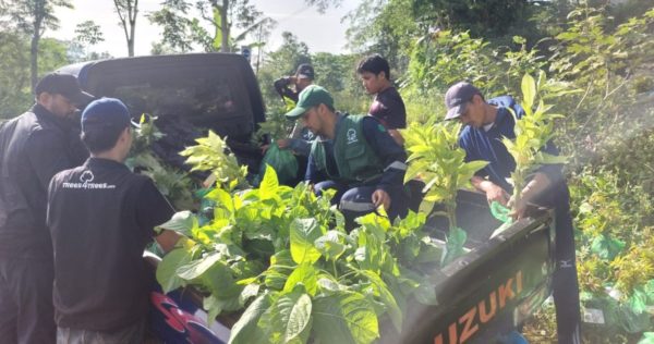 Trees4Trees distribution Citanduy watershed