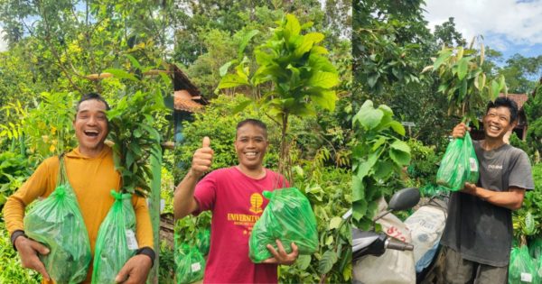 Trees4Trees seedlings distribution Kebumen