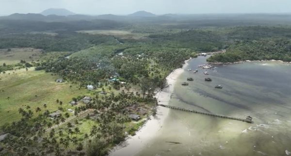 Bintan Island Mangrove Planting Trees4Trees