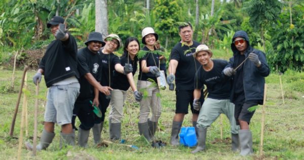 Trees4Trees planted trees in Bali