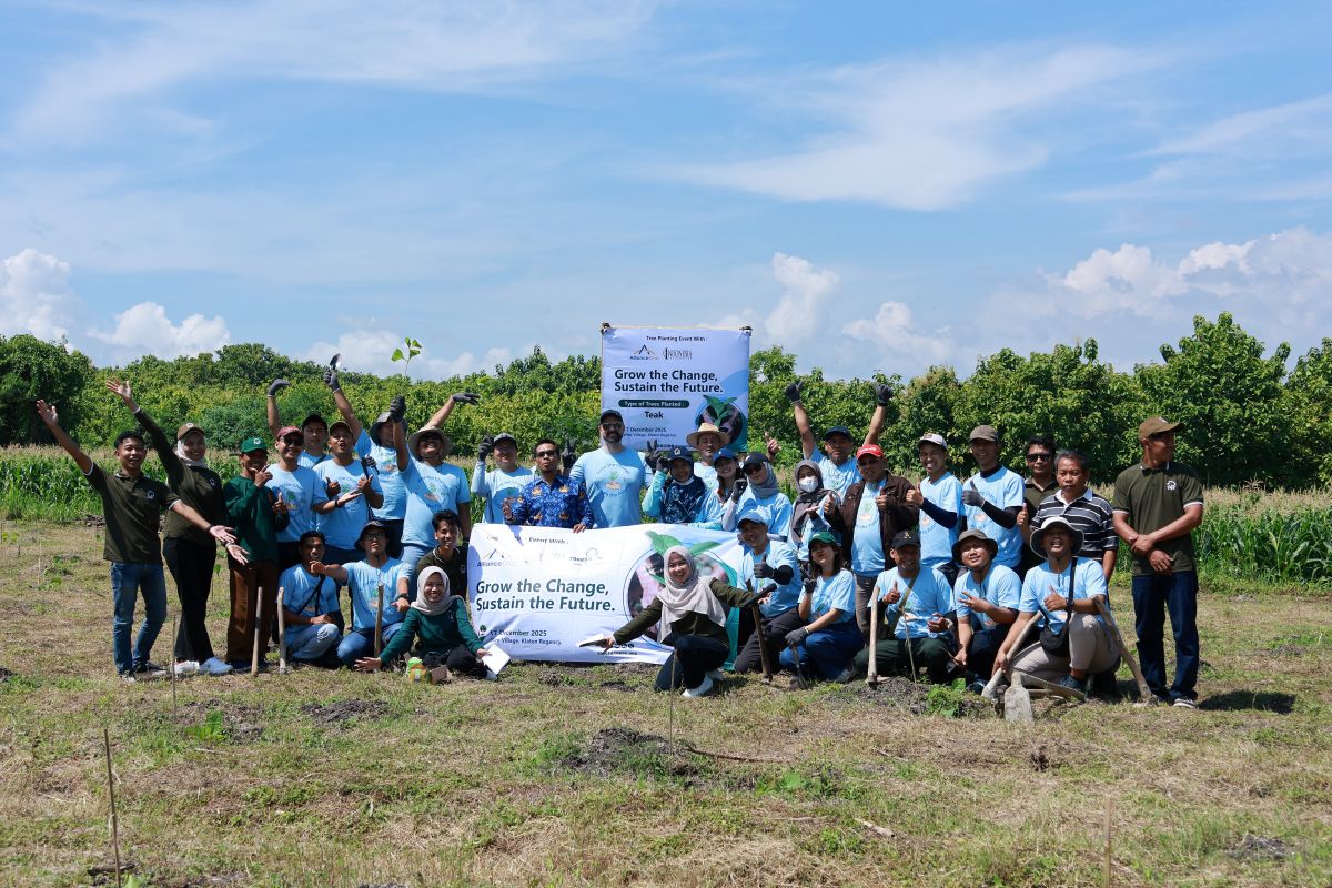 Scaling Impact Across Java: AOI and ITS from East to Central Java