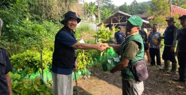 Pandu Budi Wahono, Trees4Trees Director