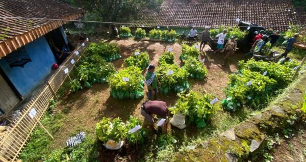 Strengthening Green