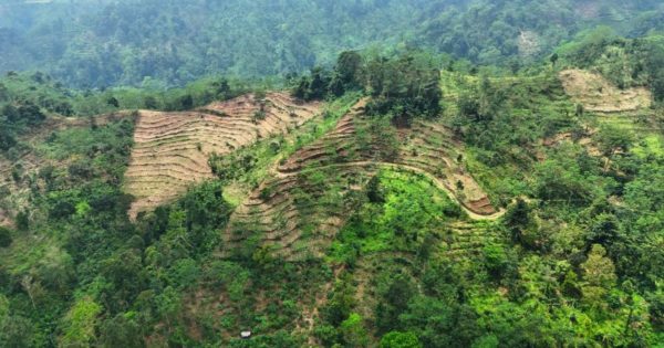 Land degradation in Pati due to unadequate agricultural practice to conservation
