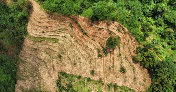 Land degradation in Pati due to unadequate agricultural practice to conservation