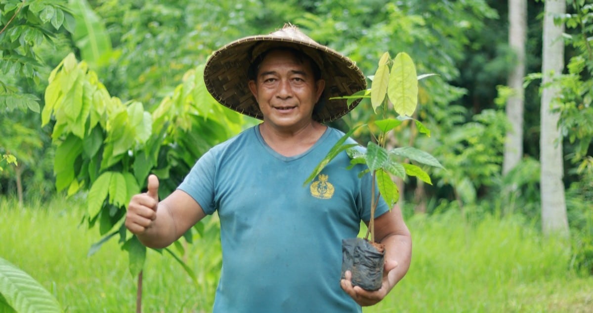 Returning to the Land, Rejuvenating Nature Through Cacao Farming
