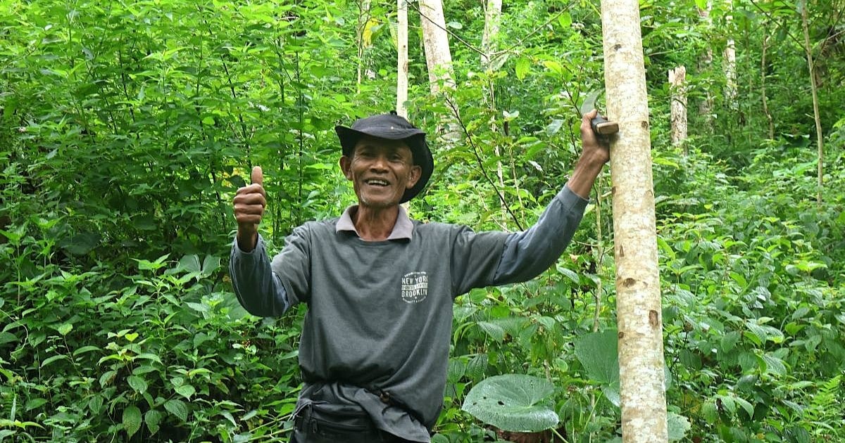 Sustainable Solutions: Restoring the Waters of West Java