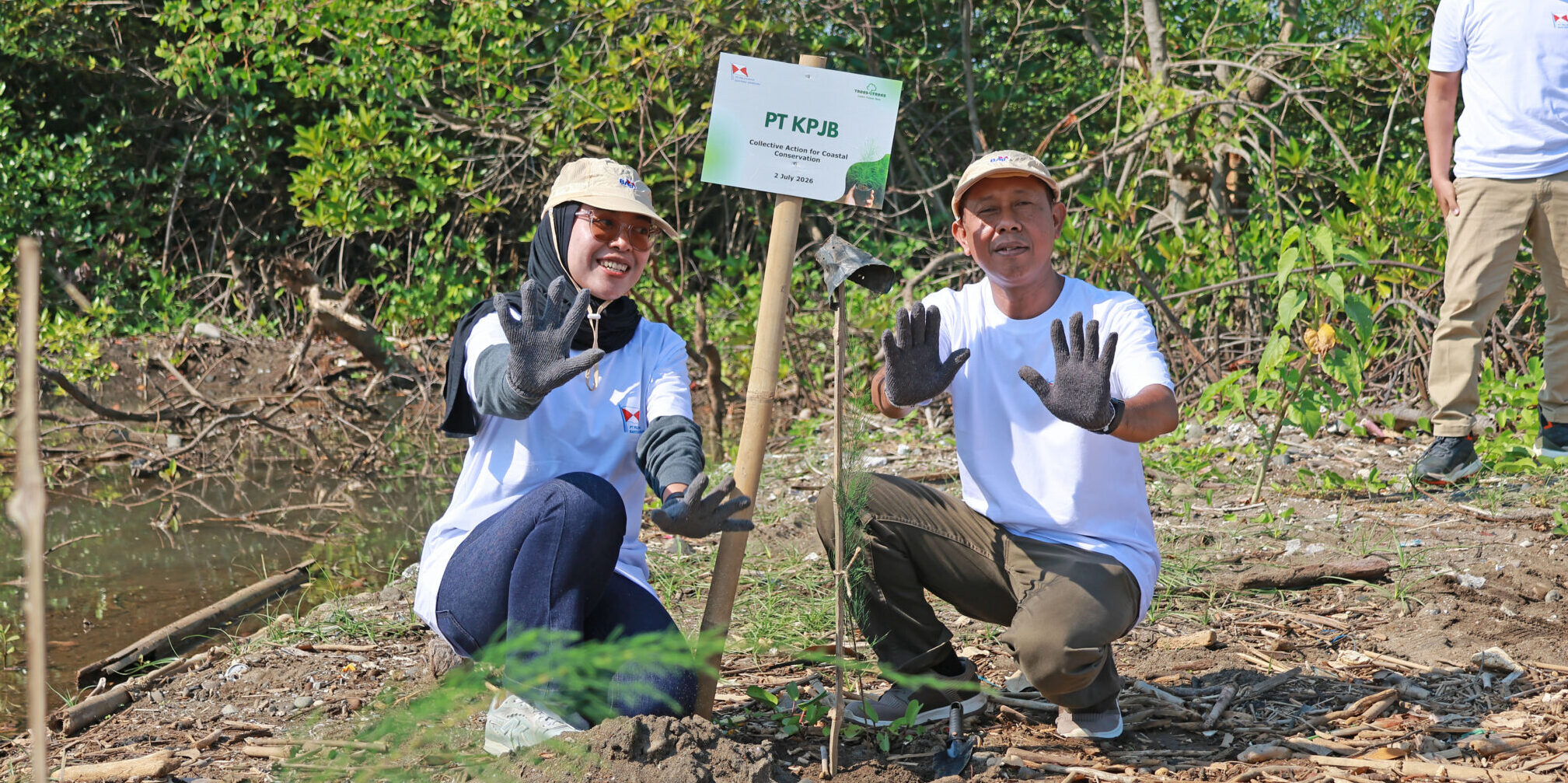 Rebuilding Coastal Green Barriers: PT Pelayaran Bahtera Adiguna's Commitment to Protecting Northern Java Shorelines