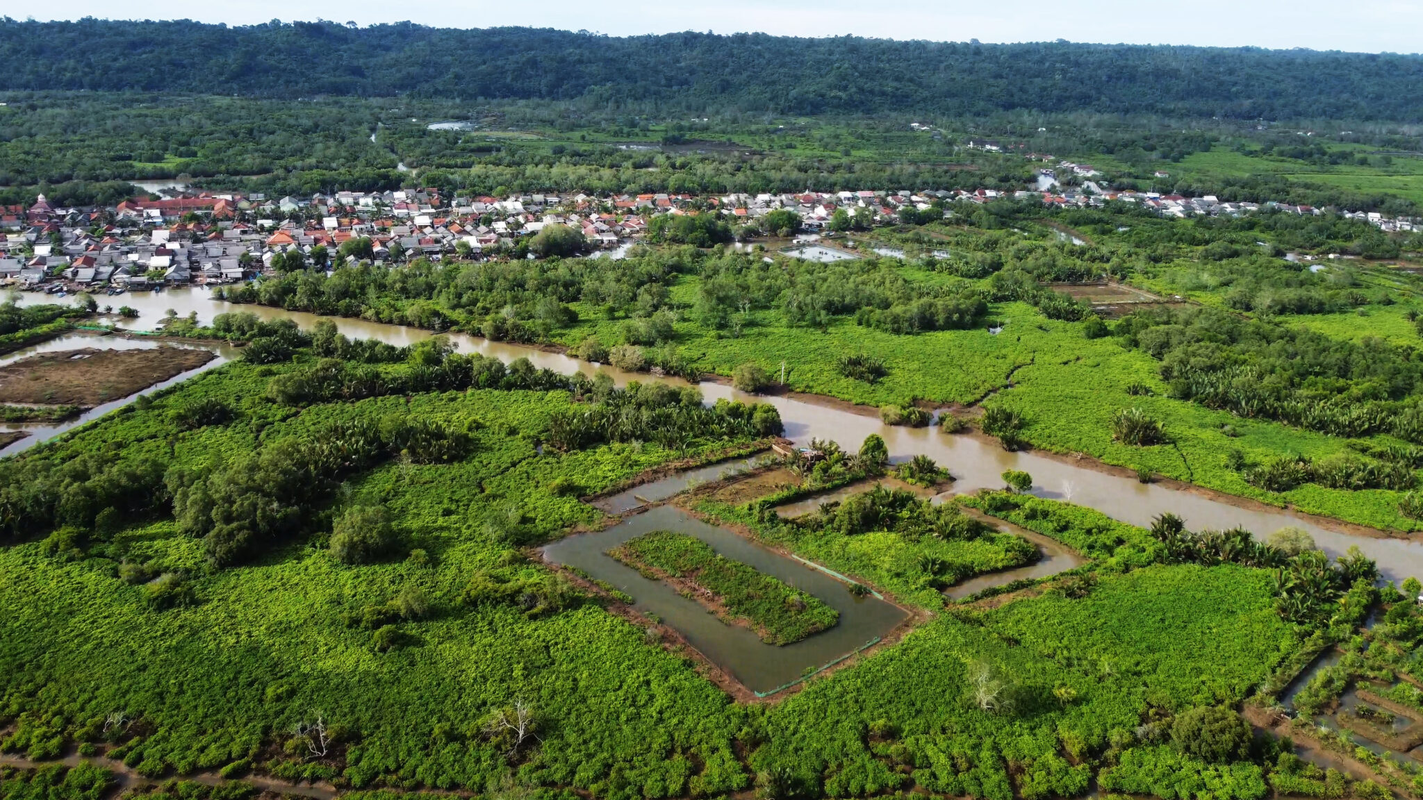 Silvofishery: A Nature-Based Solution for Mangrove Restoration