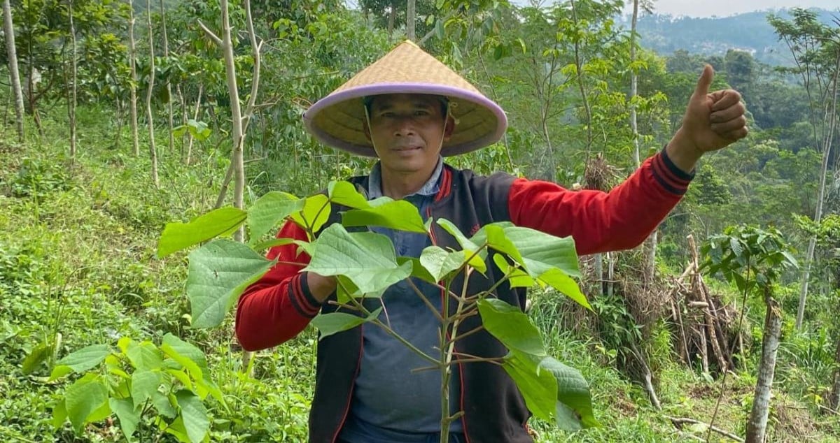 From Livelihoods to Landscapes: Restoring the Citanduy Watershed Through Agroforestry