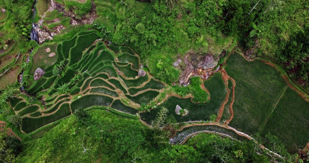 Restoring Watersheds: Protecting Landscapes That Sustain Life