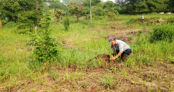 Restoring Watersheds