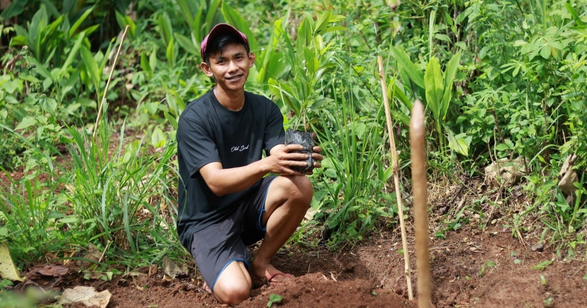 Trees4Trees Farmer