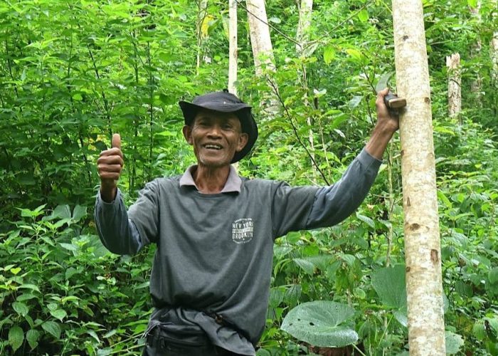 Trees4Trees AZ Farmer Story Citarum