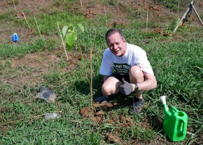 Microsoft tree-planting