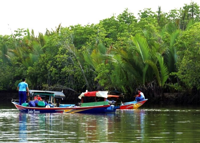 Trees4Trees_Cilacap Mangrove_Kampung Laut_4b