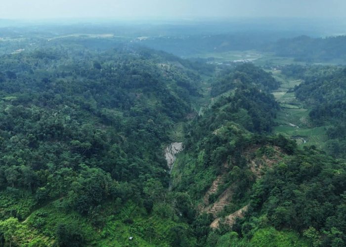 Tutupan Lahan